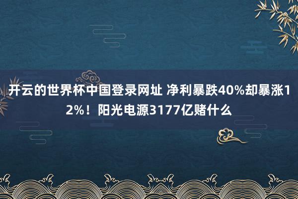 开云的世界杯中国登录网址 净利暴跌40%却暴涨12%!阳光电源3177亿赌什么