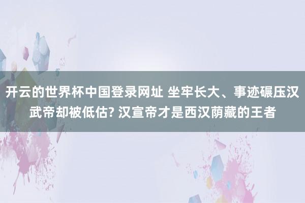 开云的世界杯中国登录网址 坐牢长大、事迹碾压汉武帝却被低估? 汉宣帝才是西汉荫藏的王者