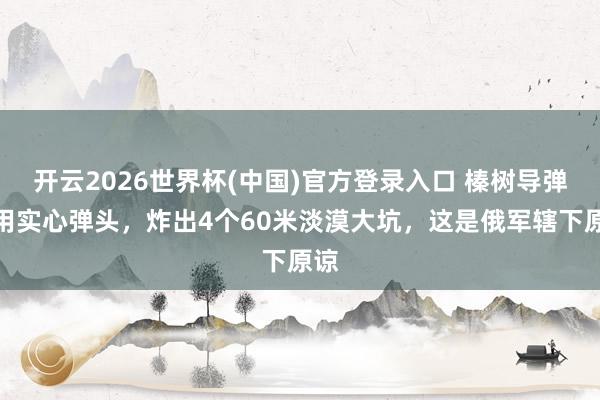开云2026世界杯(中国)官方登录入口 榛树导弹只用实心弹头,炸出4个60米淡漠大坑,这是俄军辖下原谅