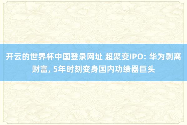 开云的世界杯中国登录网址 超聚变IPO: 华为剥离财富, 5年时刻变身国内功绩器巨头