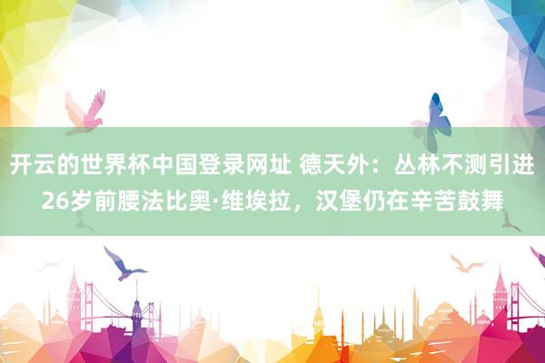 开云的世界杯中国登录网址 德天外:丛林不测引进26岁前腰法比奥·维埃拉,汉堡仍在辛苦鼓舞