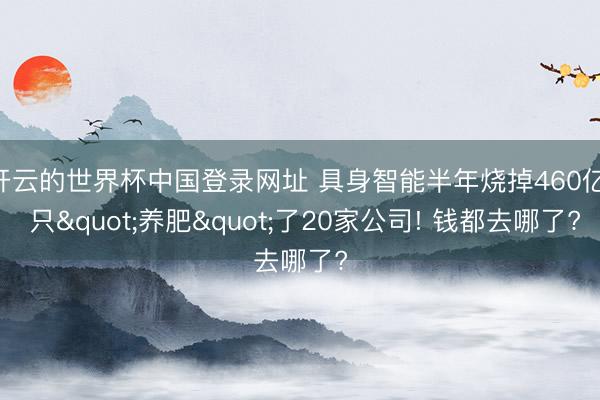 开云的世界杯中国登录网址 具身智能半年烧掉460亿, 只"养肥"了20家公司! 钱都去哪了?
